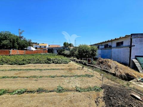 Moradia t4 com armazém e terreno