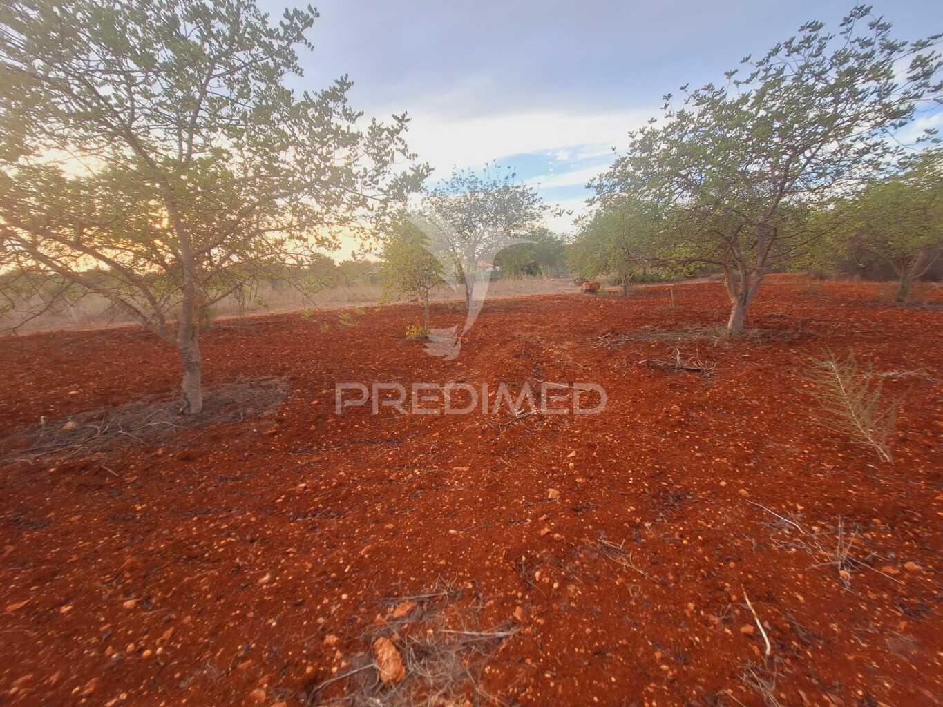 Terreno na zona de vale judeu, loulé