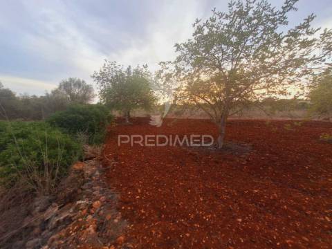 Terreno na zona de vale judeu, loulé