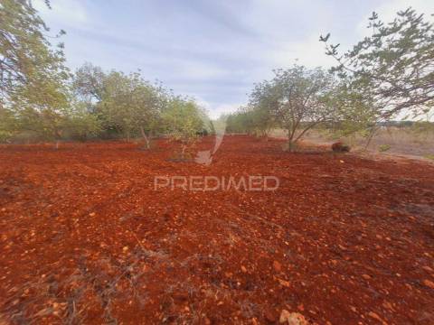 Terreno na zona de vale judeu, loulé