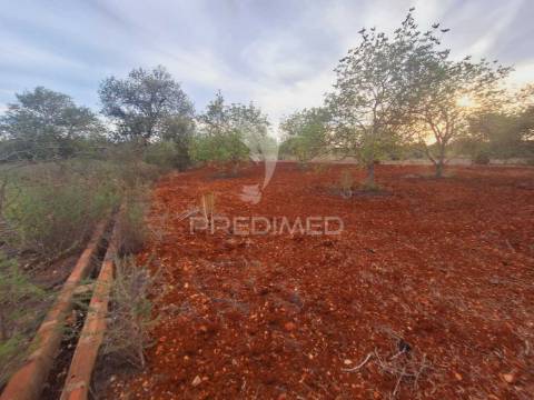 Terreno na zona de vale judeu, loulé