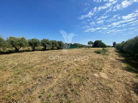 Moradia concelho da azambuja para remodelação