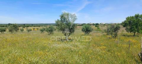 Terreno em tolosa, nisa