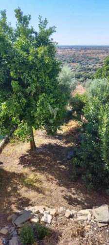 Moradia em montalvão