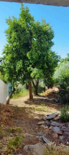 Moradia em montalvão