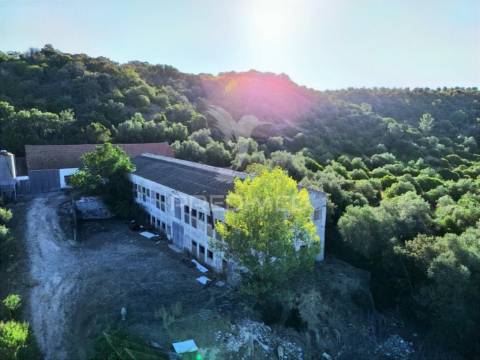 Oportunidade única de negócio - aviário em almajões, santarém