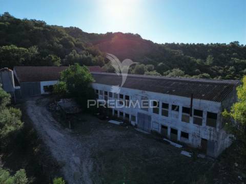 Oportunidade única de negócio - aviário em almajões, santarém