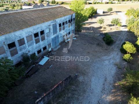 Oportunidade única de negócio - aviário em almajões, santarém