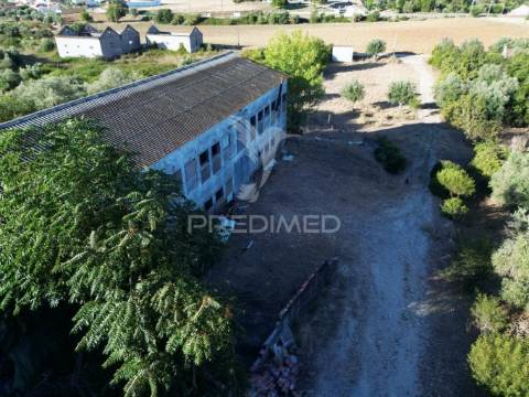 Oportunidade única de negócio - aviário em almajões, santarém