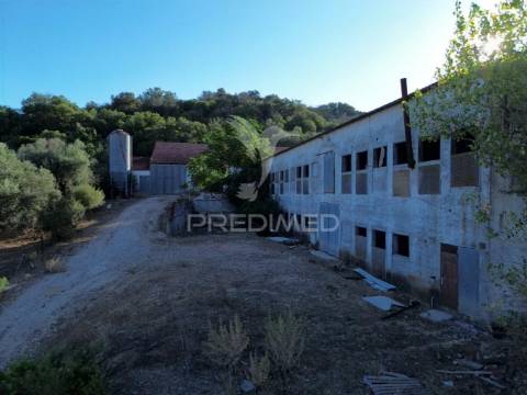 Oportunidade única de negócio - aviário em almajões, santarém