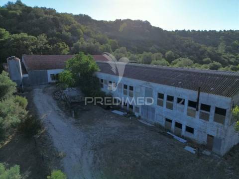 Oportunidade única de negócio - aviário em almajões, santarém