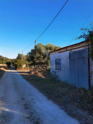 Oportunidade única de negócio - aviário em almajões, santarém