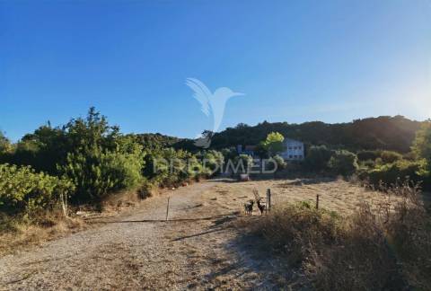 Oportunidade única de negócio - aviário em almajões, santarém