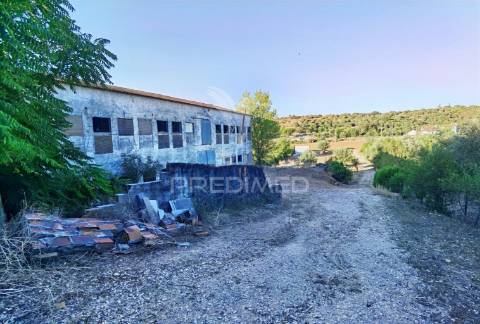 Oportunidade única de negócio - aviário em almajões, santarém