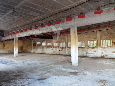 Oportunidade única de negócio - aviário em almajões, santarém