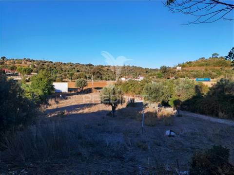 Oportunidade única de negócio - aviário em almajões, santarém