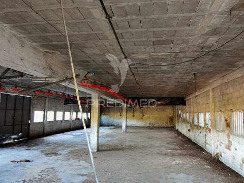 Oportunidade única de negócio - aviário em almajões, santarém