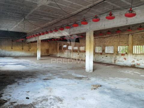 Oportunidade única de negócio - aviário em almajões, santarém
