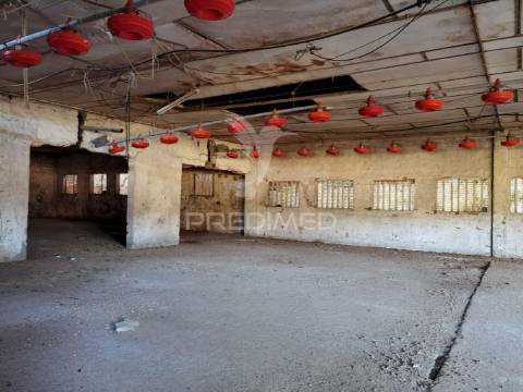 Oportunidade única de negócio - aviário em almajões, santarém