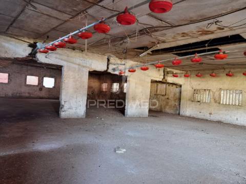 Oportunidade única de negócio - aviário em almajões, santarém