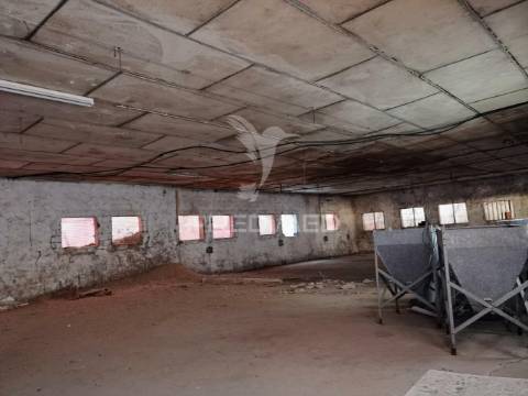 Oportunidade única de negócio - aviário em almajões, santarém