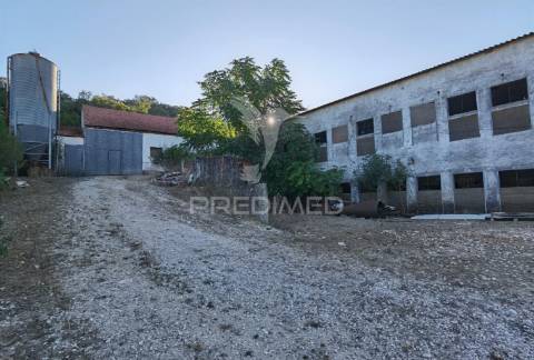 Oportunidade única de negócio - aviário em almajões, santarém