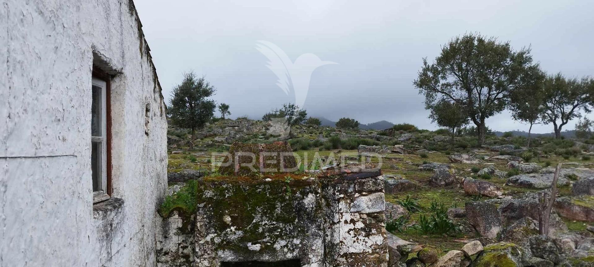Quinta agrícola em marvão