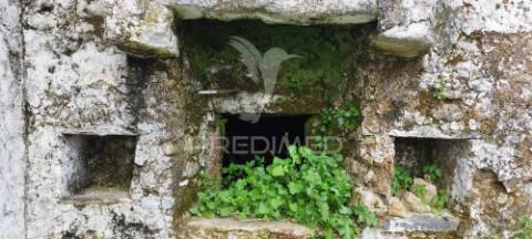 Quinta agrícola em marvão