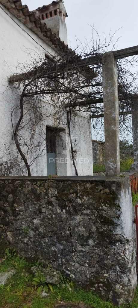 Quinta agrícola em marvão