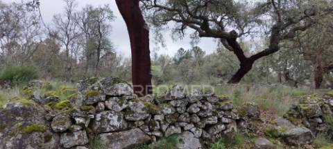 Quinta agrícola em marvão