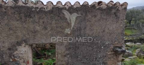 Quinta agrícola em marvão