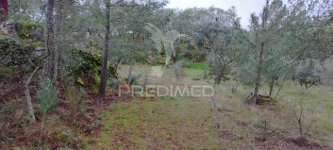 Quinta agrícola em marvão