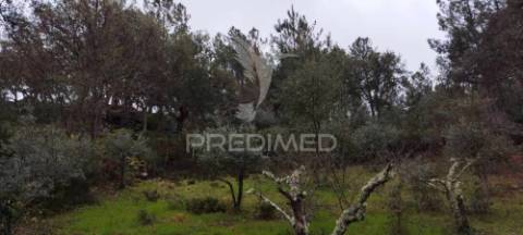 Quinta agrícola em marvão