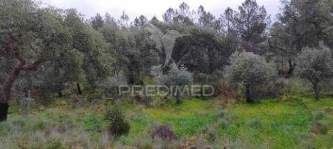 Quinta agrícola em marvão