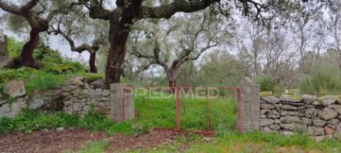 Quinta agrícola em marvão