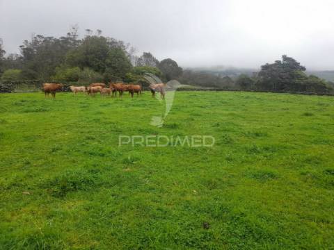 Terreno - são bartolomeu