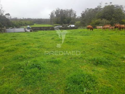 Terreno - são bartolomeu