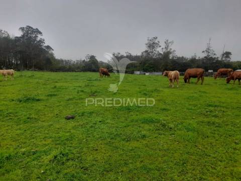 Terreno - são bartolomeu