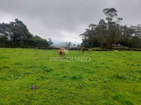 Terreno - são bartolomeu