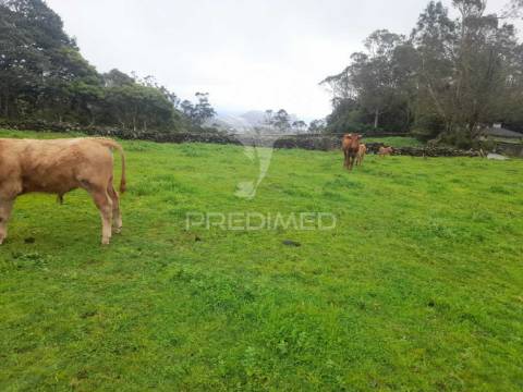 Terreno - são bartolomeu