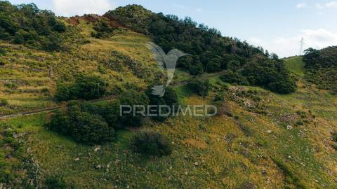 Terreno com área 20.800 m2 para investimento em machico