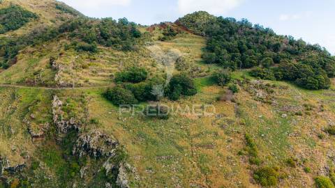Terreno com área 20.800 m2 para investimento em machico