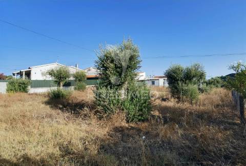 Terreno rústico de 1000m² à venda – o almeirim, arneiro das milhariças