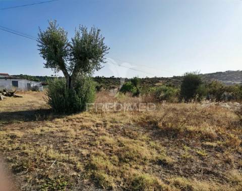 Terreno rústico de 1000m² à venda – o almeirim, arneiro das milhariças