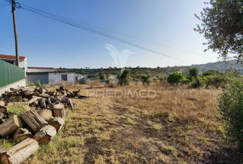 Terreno rústico de 1000m² à venda – o almeirim, arneiro das milhariças