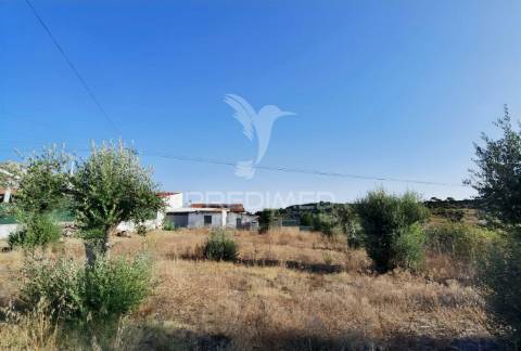 Terreno rústico de 1000m² à venda – o almeirim, arneiro das milhariças