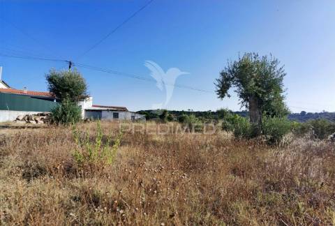 Terreno rústico de 1000m² à venda – o almeirim, arneiro das milhariças