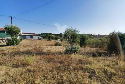 Terreno rústico de 1000m² à venda – o almeirim, arneiro das milhariças