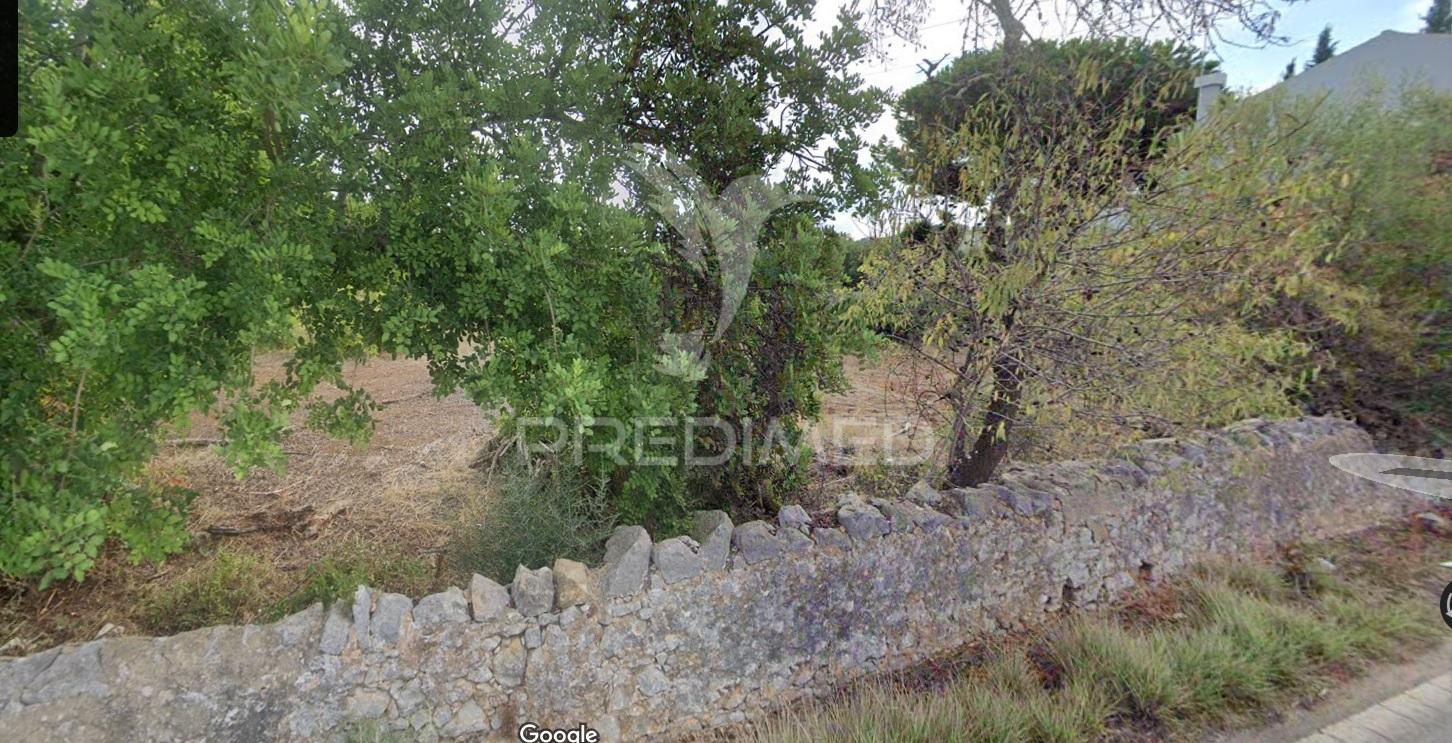 Terreno rustico no farrobo são brás de alportel