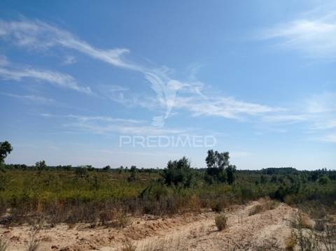 Herdade 44 hectares em margem, gavião